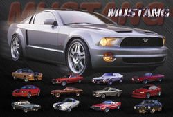 Mustang Evolution-16x20 (Option: 2477~16x20_CB)